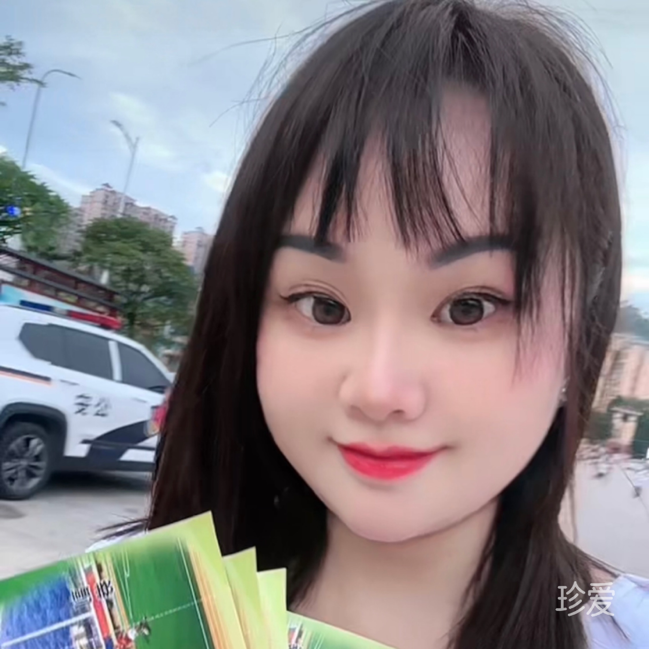 傲雪寒梅獨(dú)自香