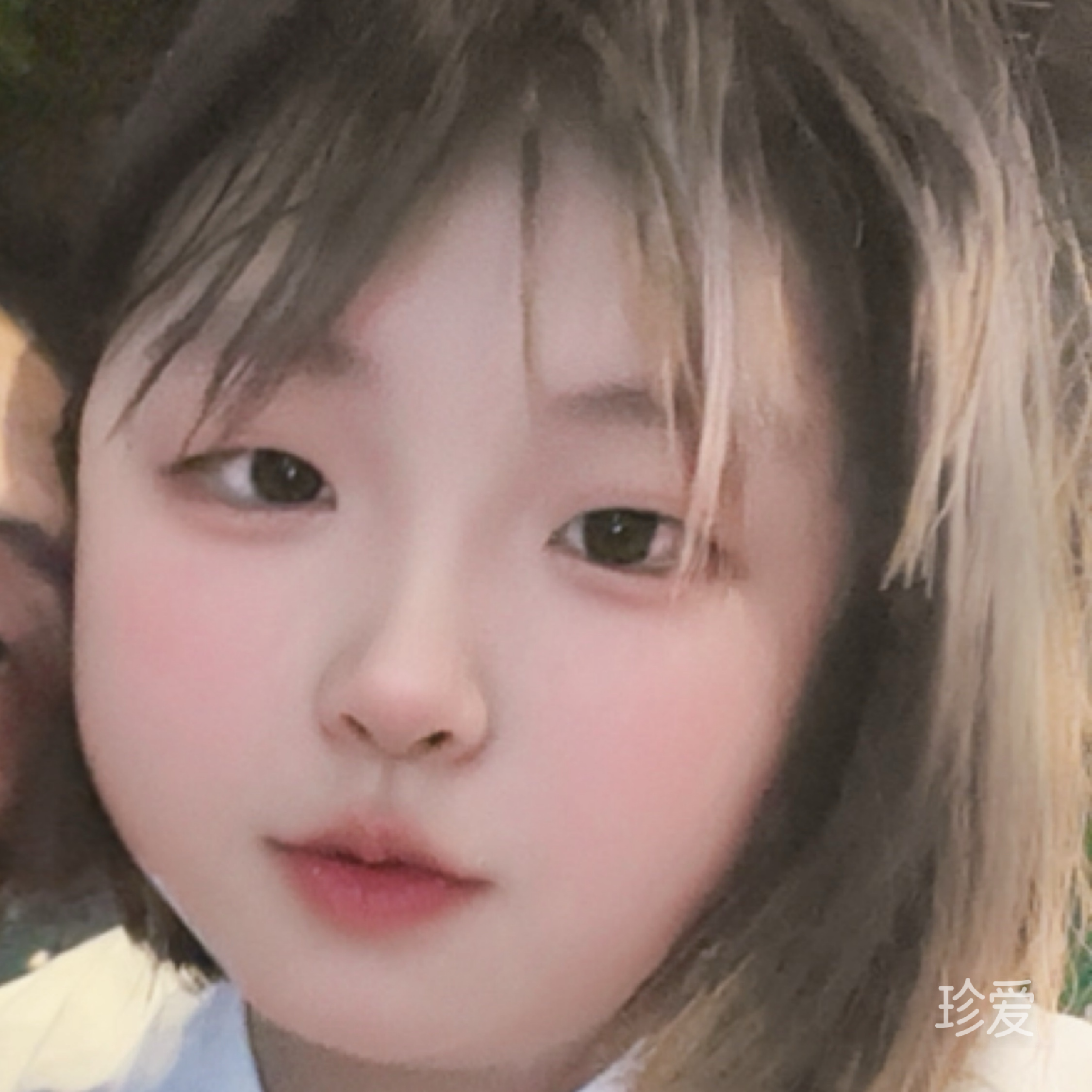 肉肉