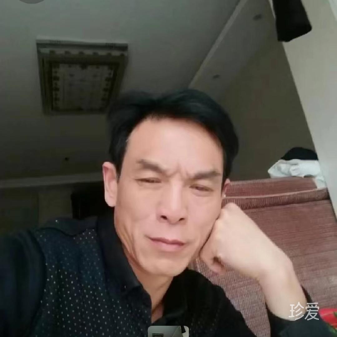 诚诚