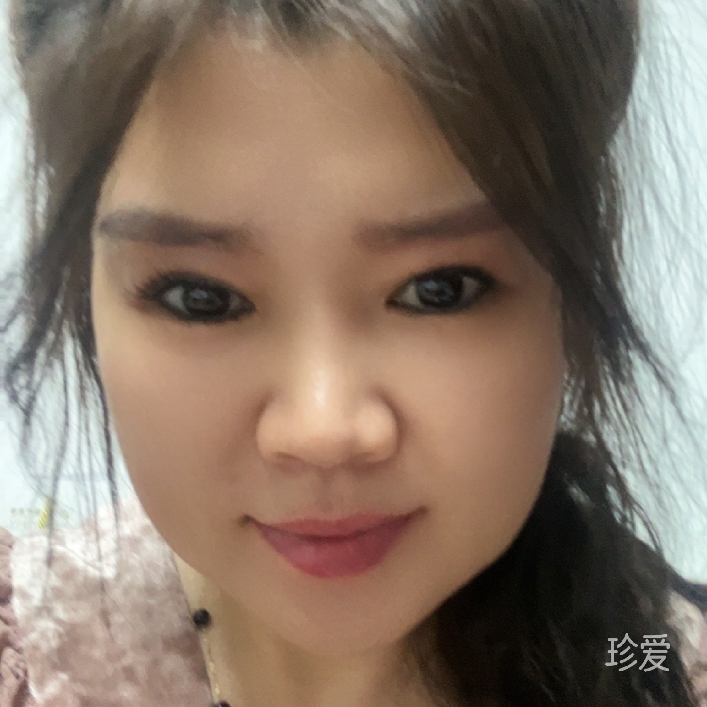 随梦飞