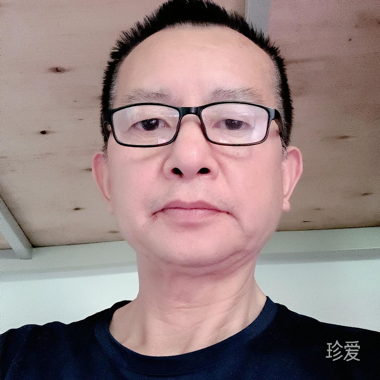 大漠孤雁