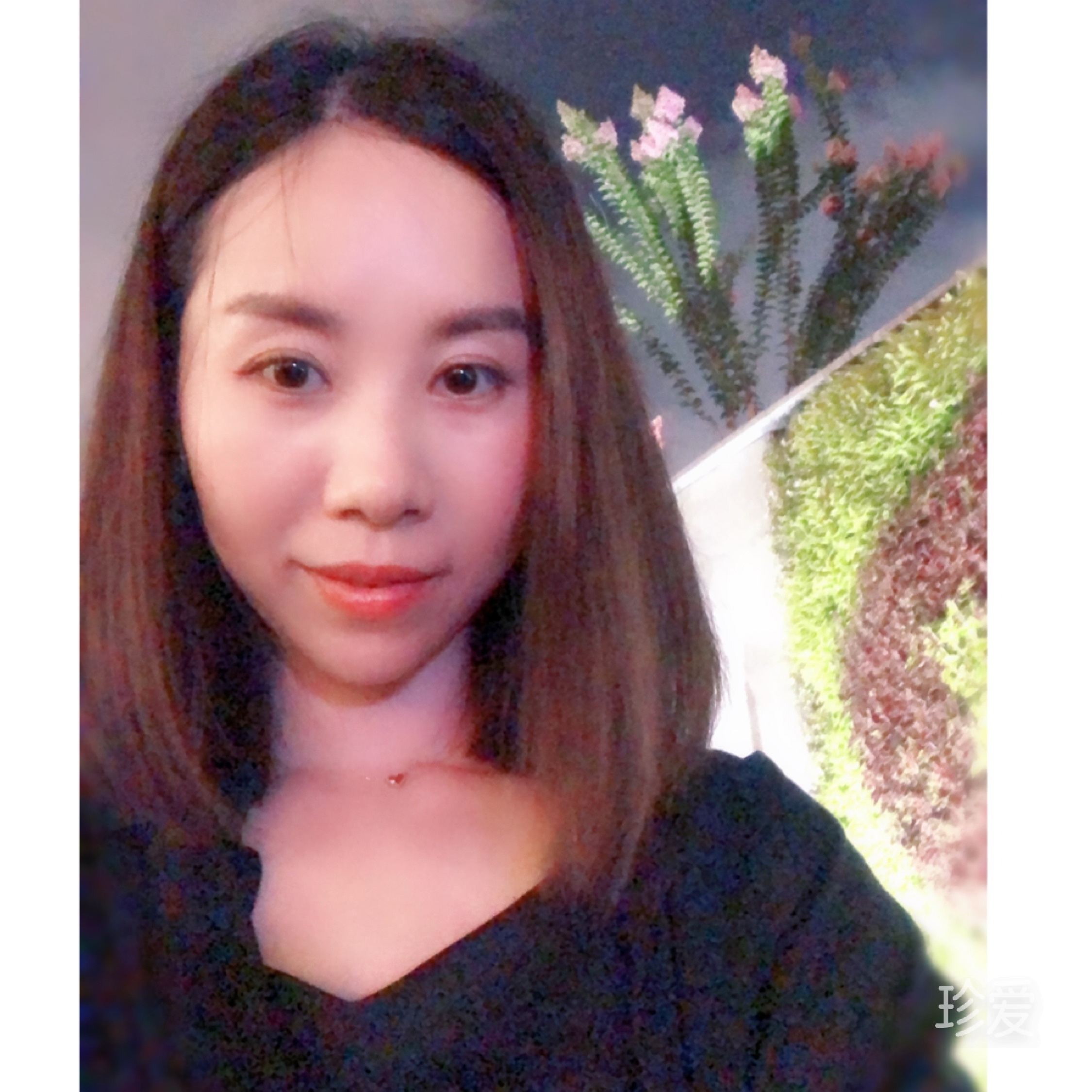 夜雨梦胧