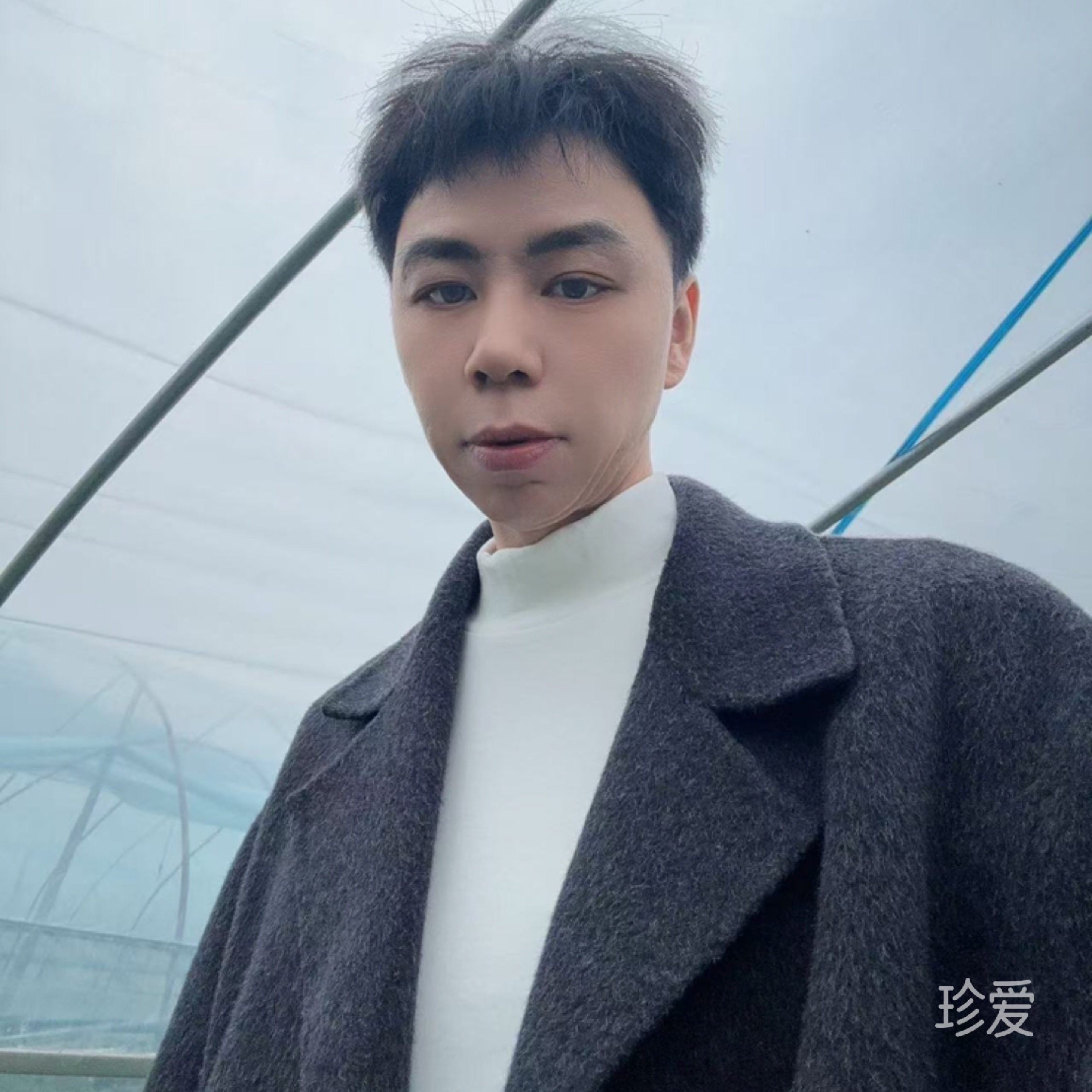 你是我的太阳