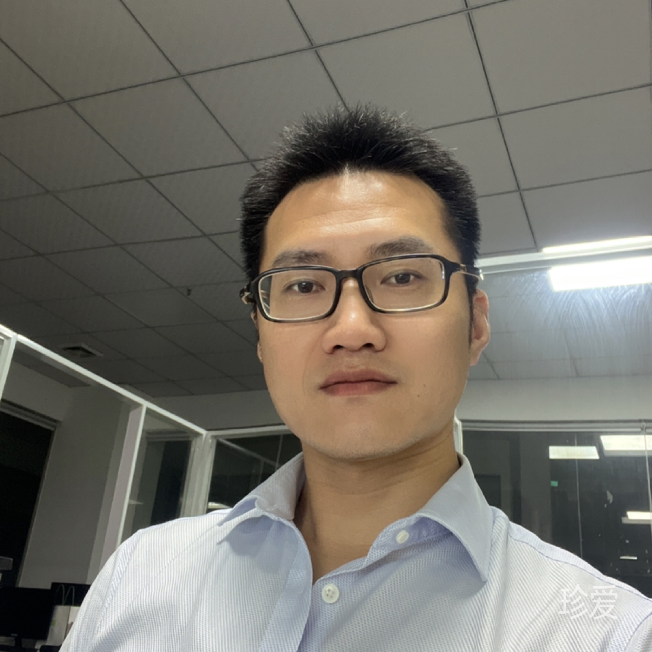 孤單又燦爛的小狼