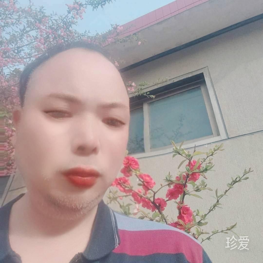 零风