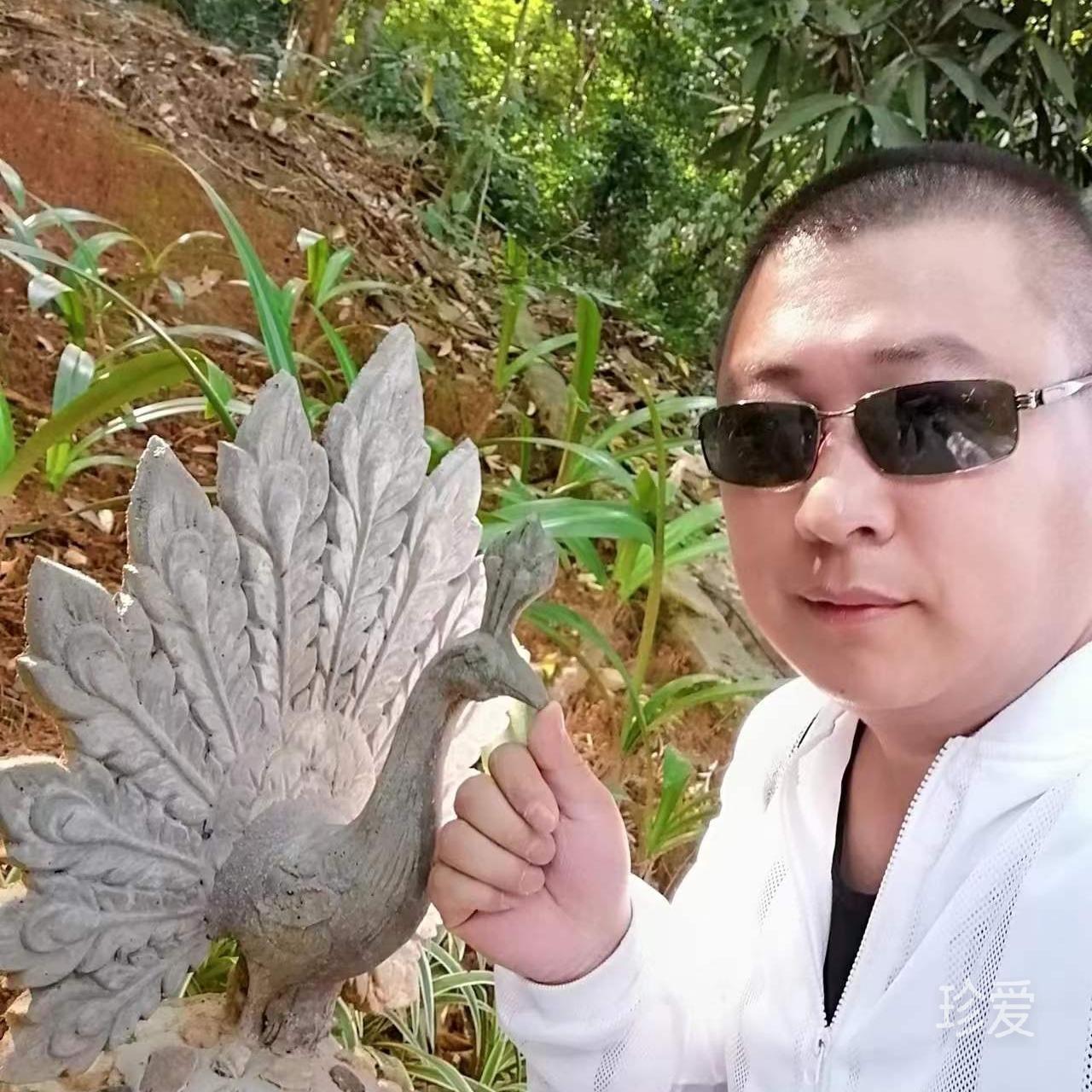 随遇而安