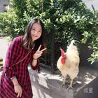甜蜜屋
