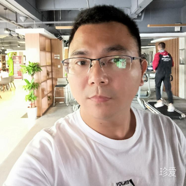 晨墨似金
