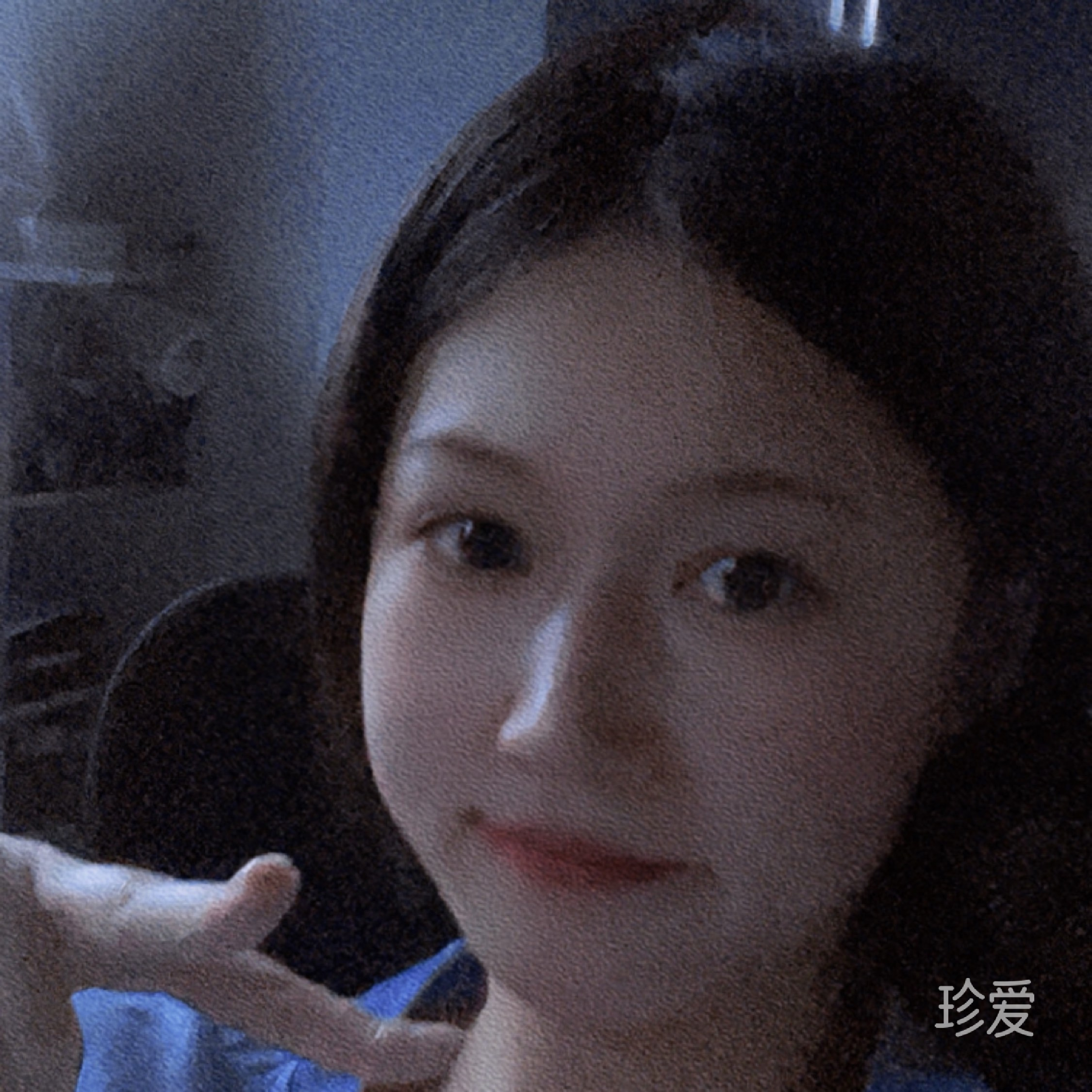 糖果色的猫