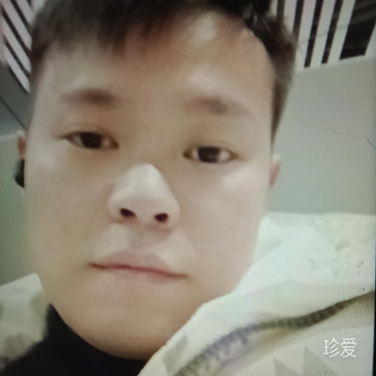 风子歌