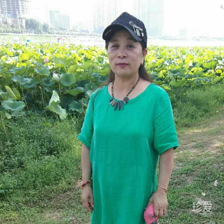 习惯了寂寞