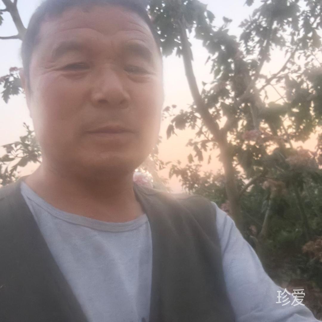 需要爱
