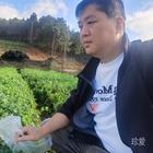 地球好熱鬧
