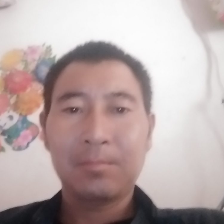 咸魚白菜各有所愛