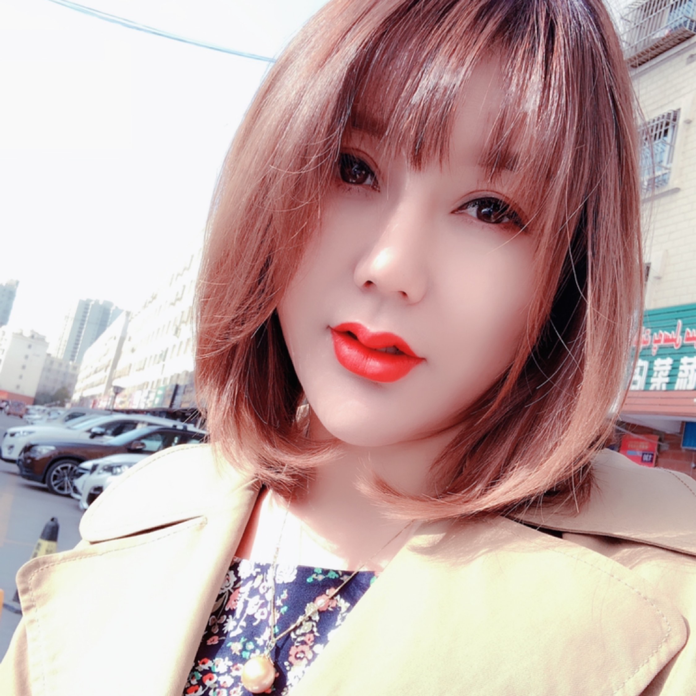 人生若只如初見