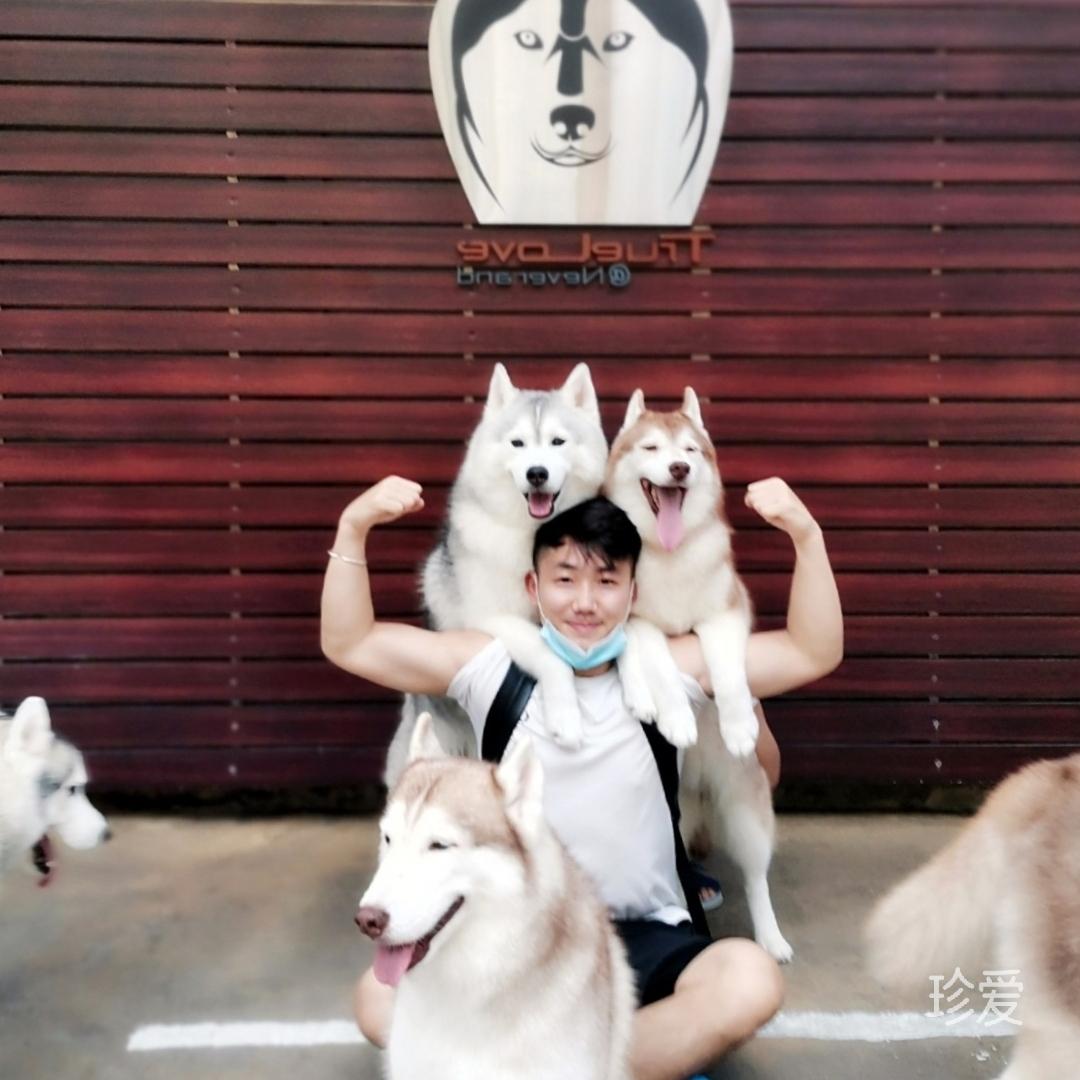 如果可以希望是你