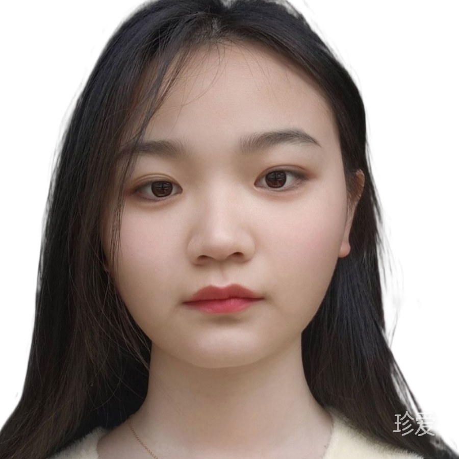 雪中孤雁