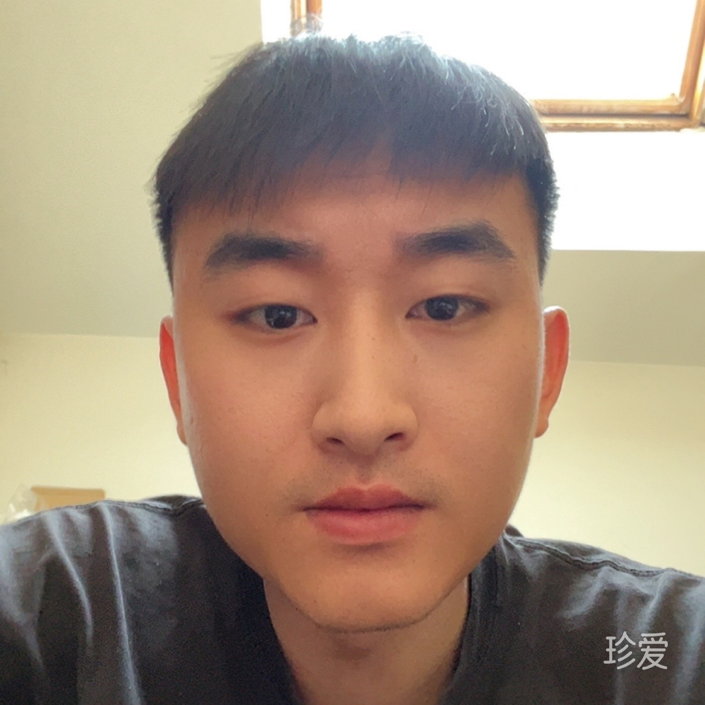 情是那么笨