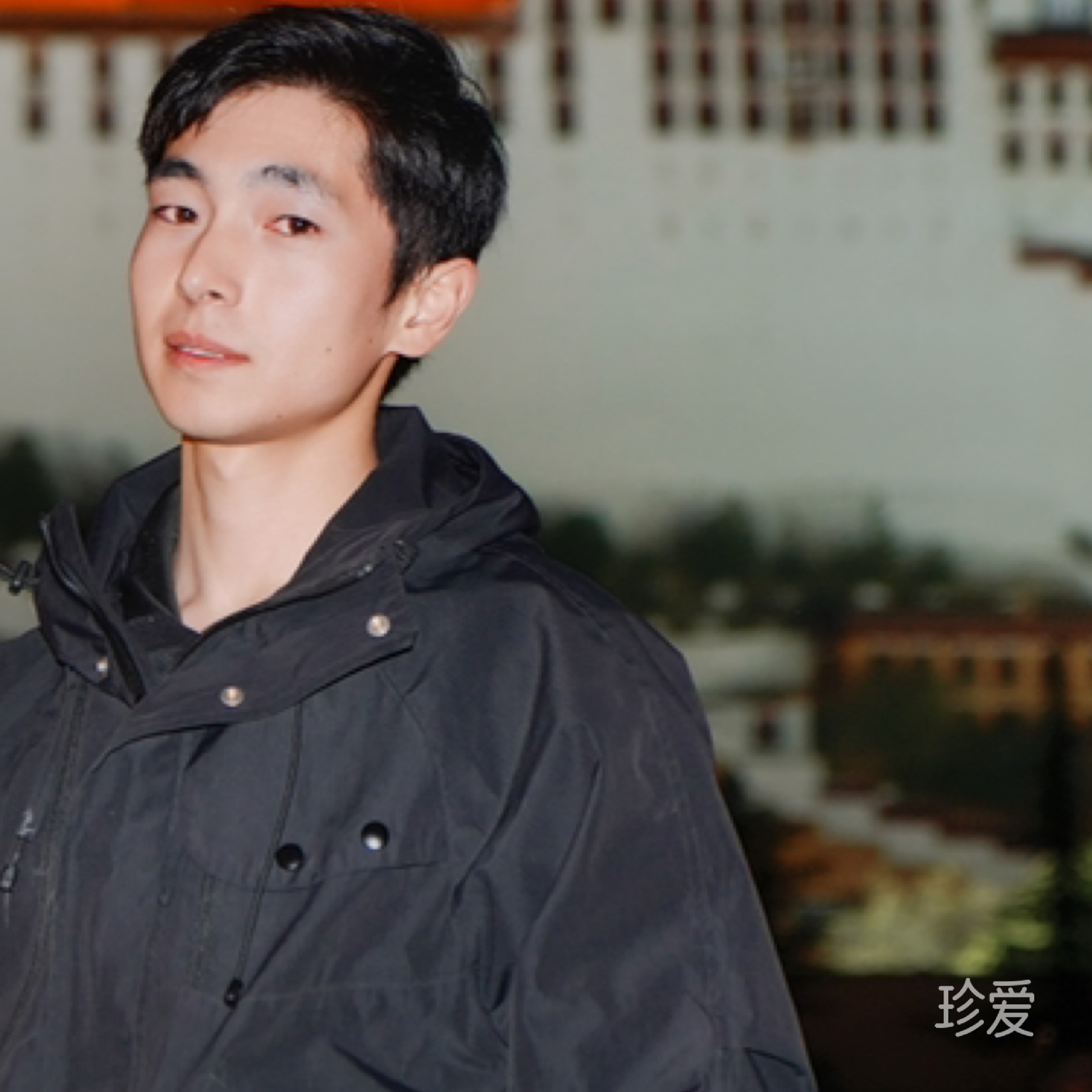 泊兮者