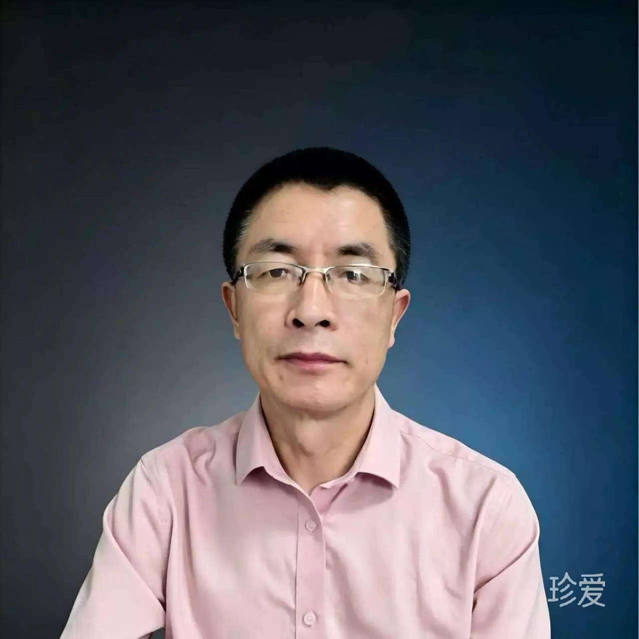 梦随风飘
