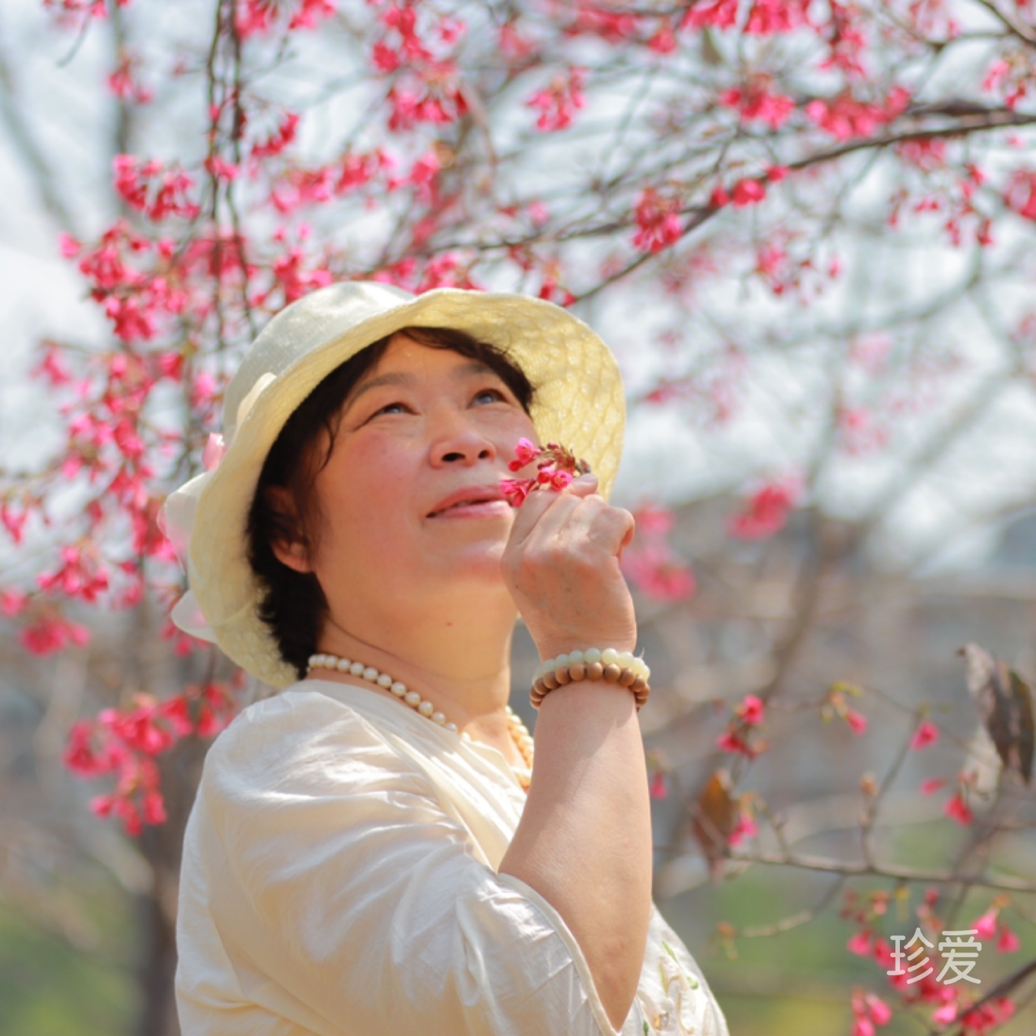 茉莉花