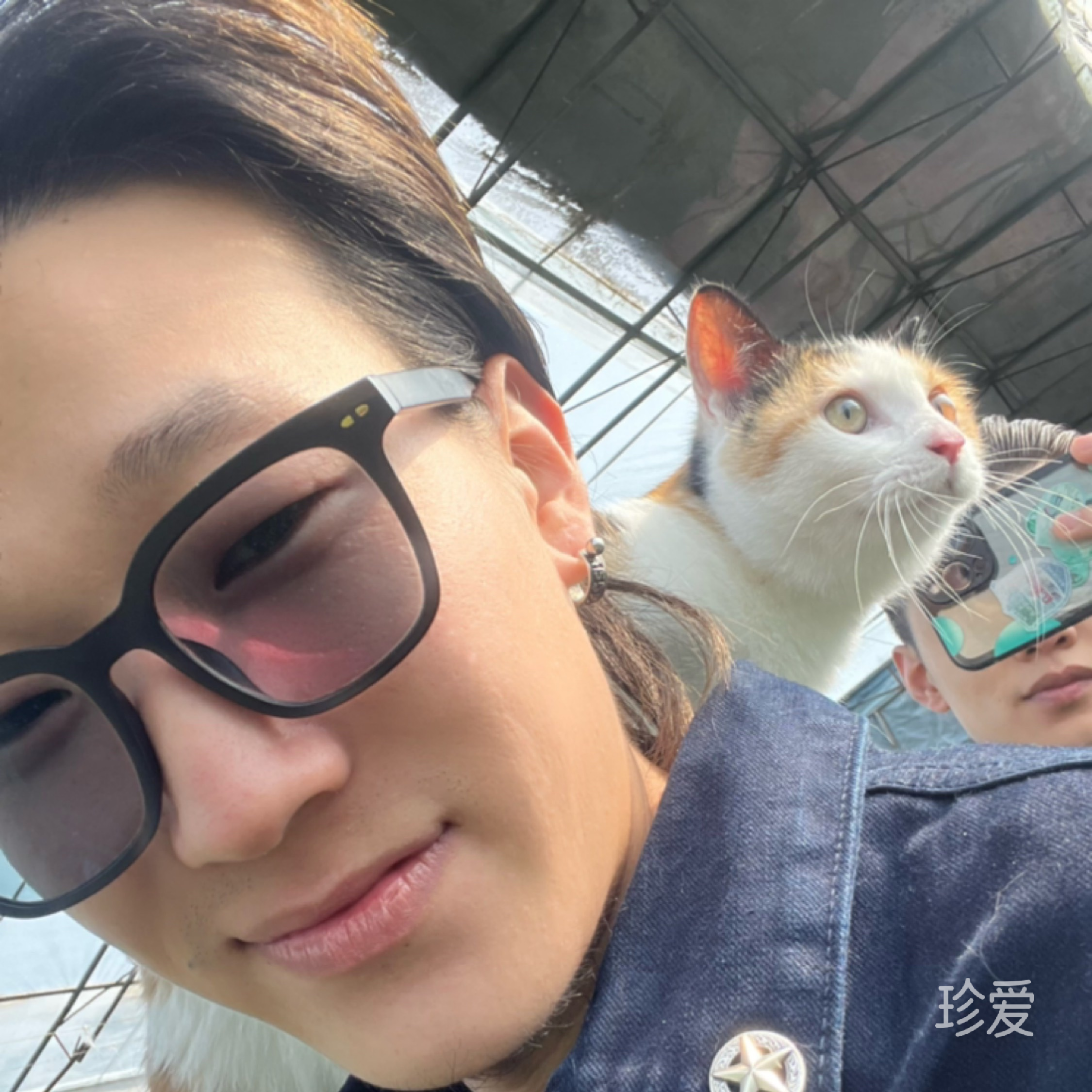 不吃香菜