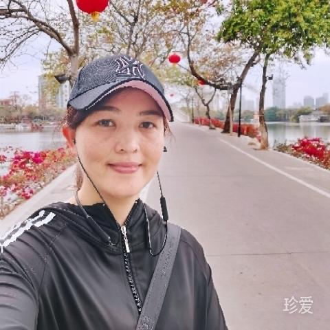 椰子树