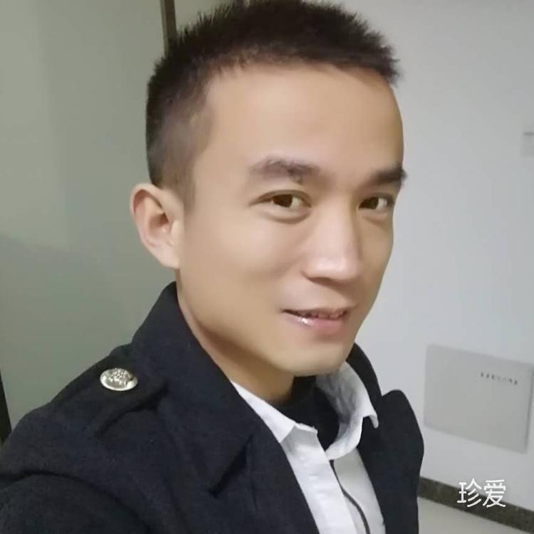 浪漫枫叶