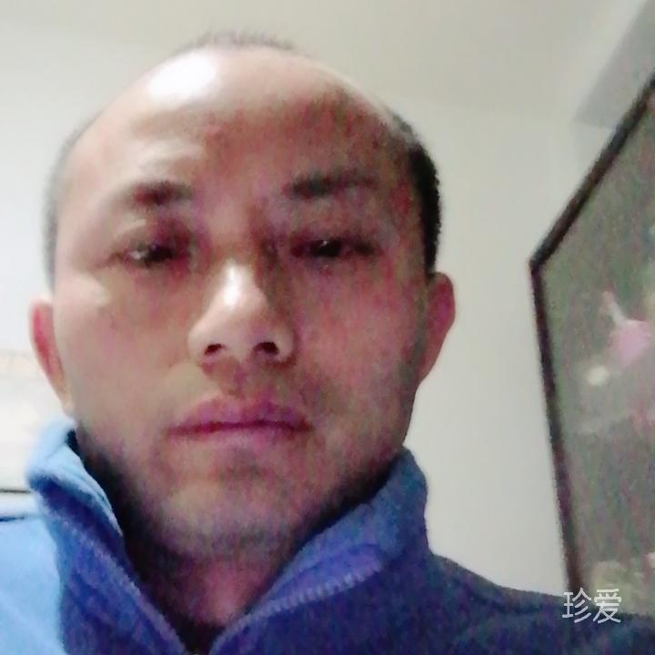 panzi