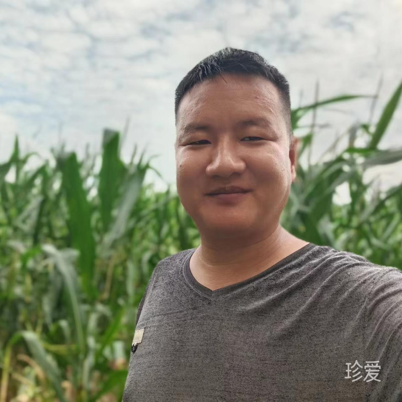 清晨