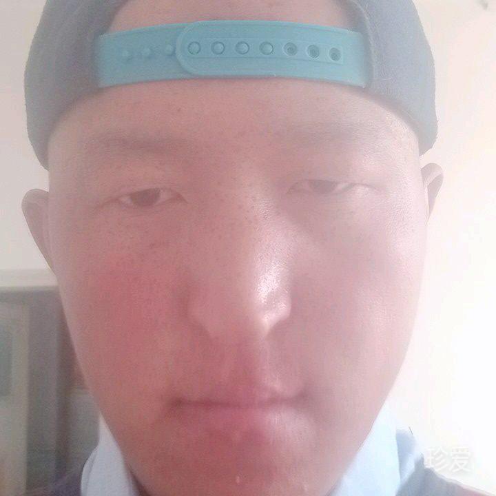 布迟散人