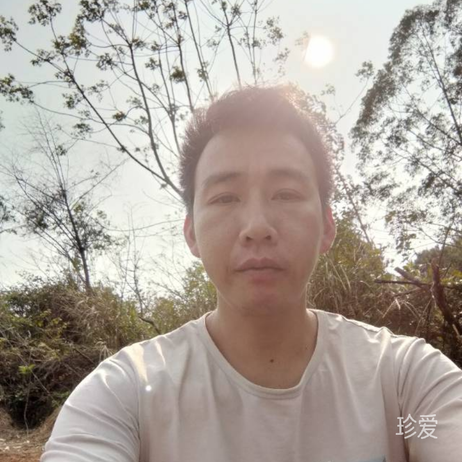 一起去看那片海