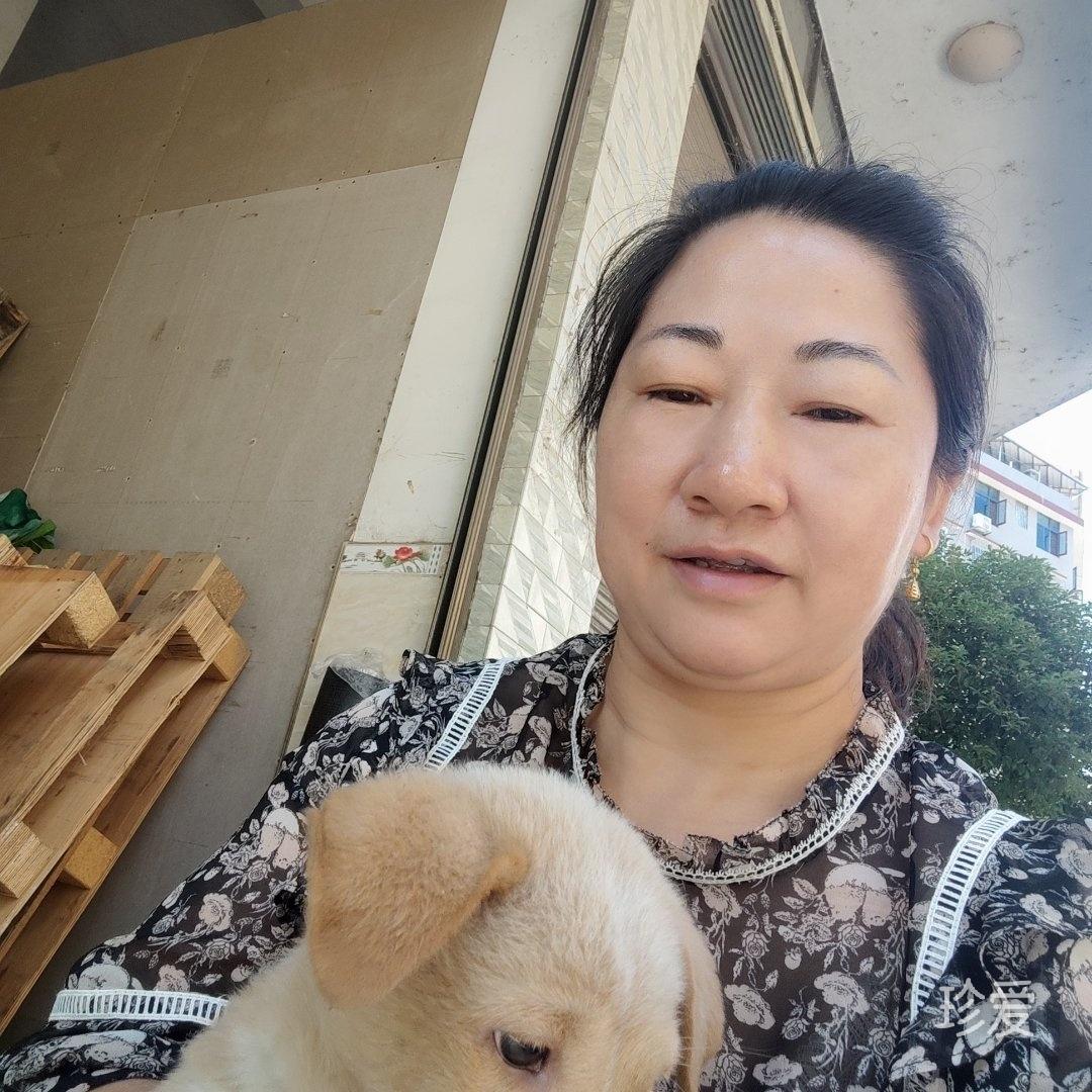 微笑演绎