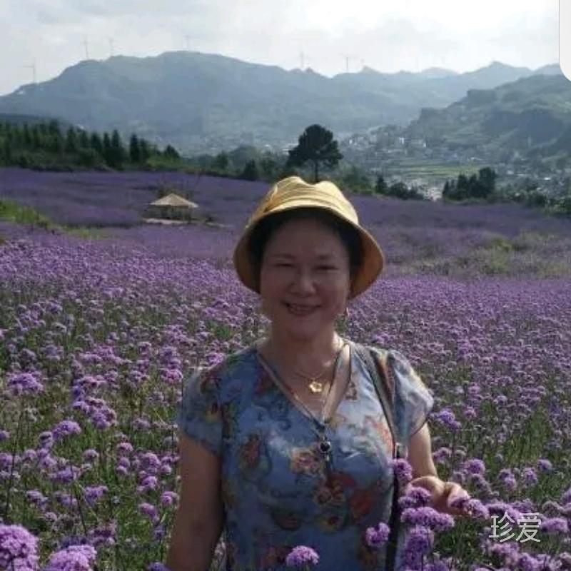 相识未晚