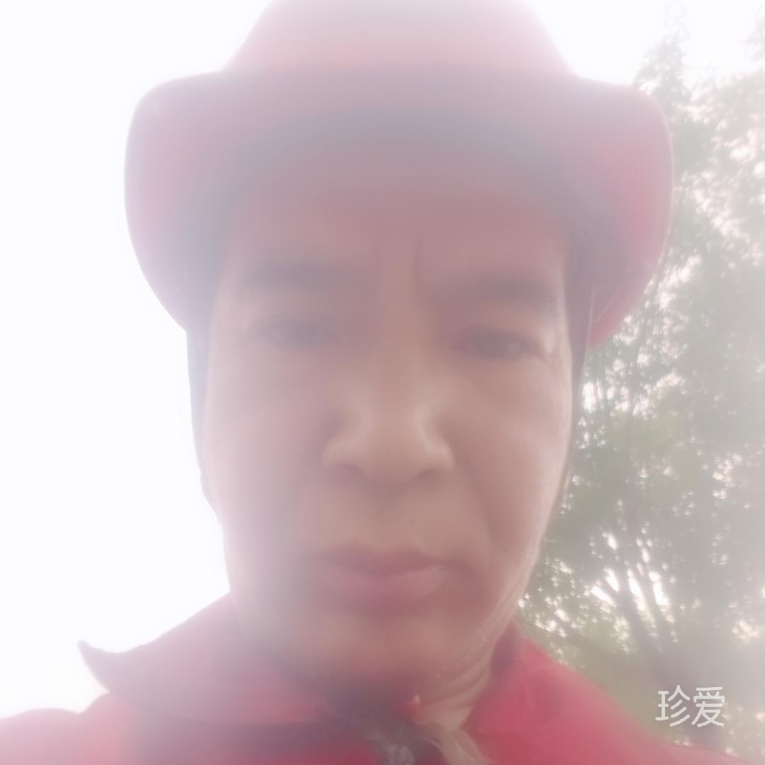 平淡清心