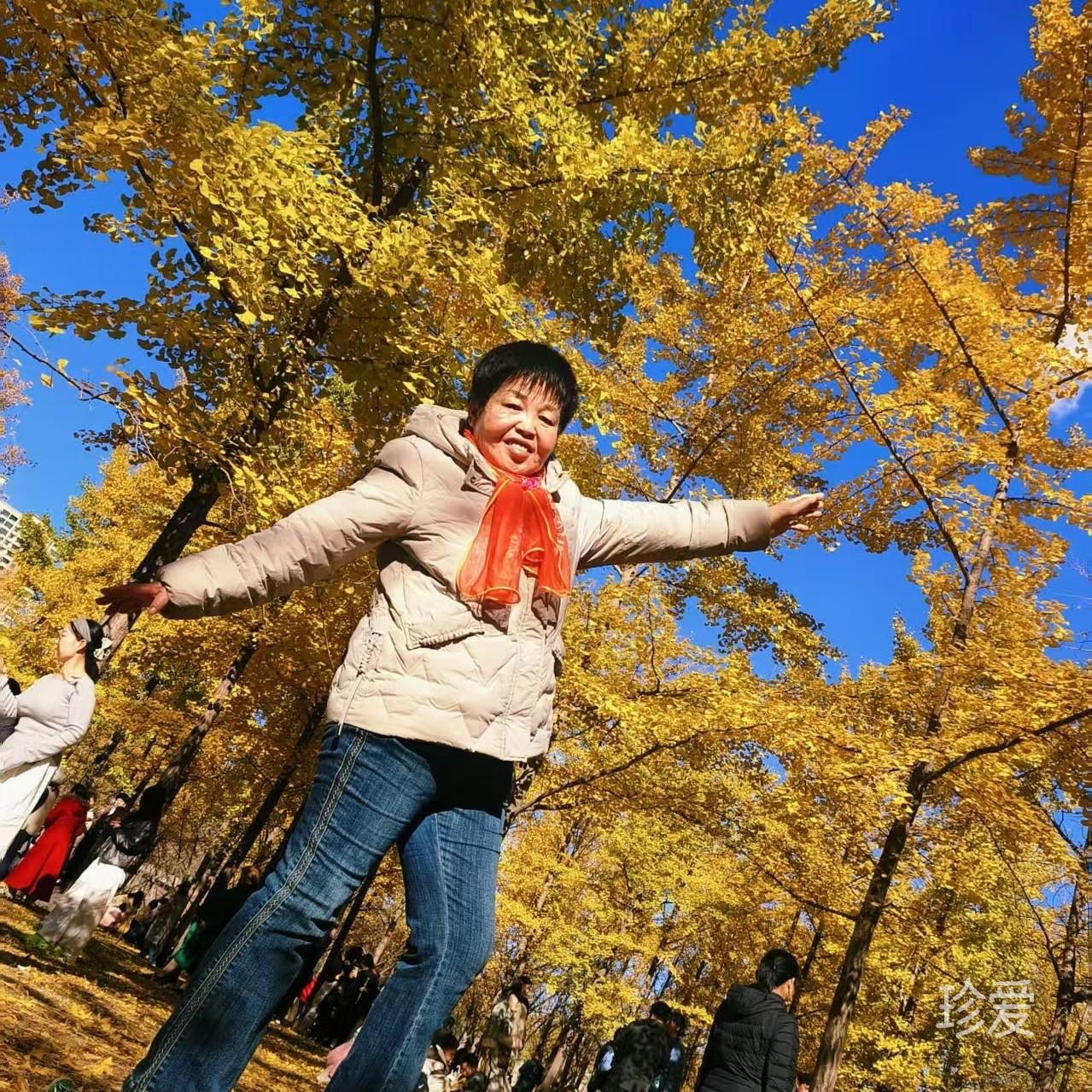 太阳花