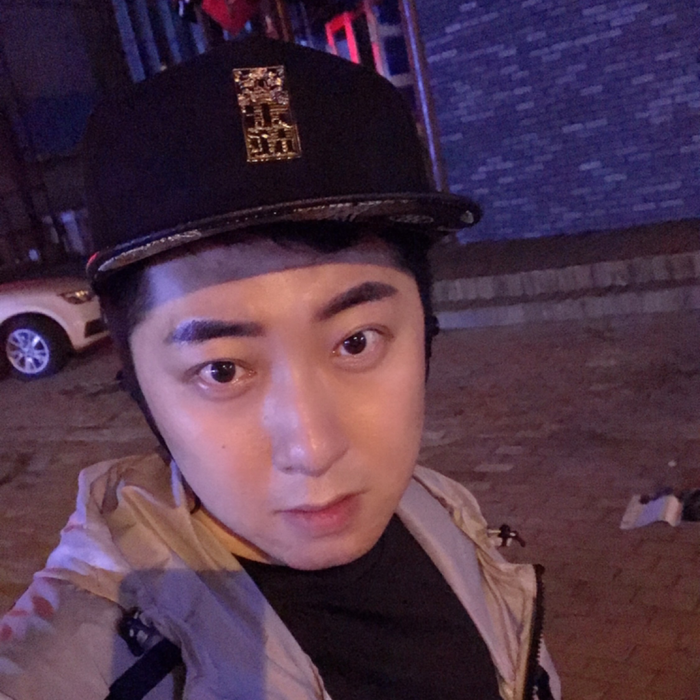 山川故里不及你