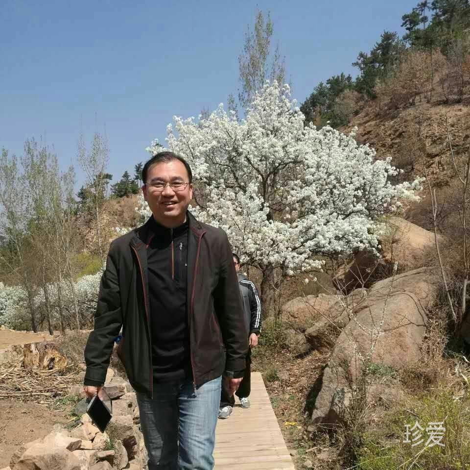 清风高远