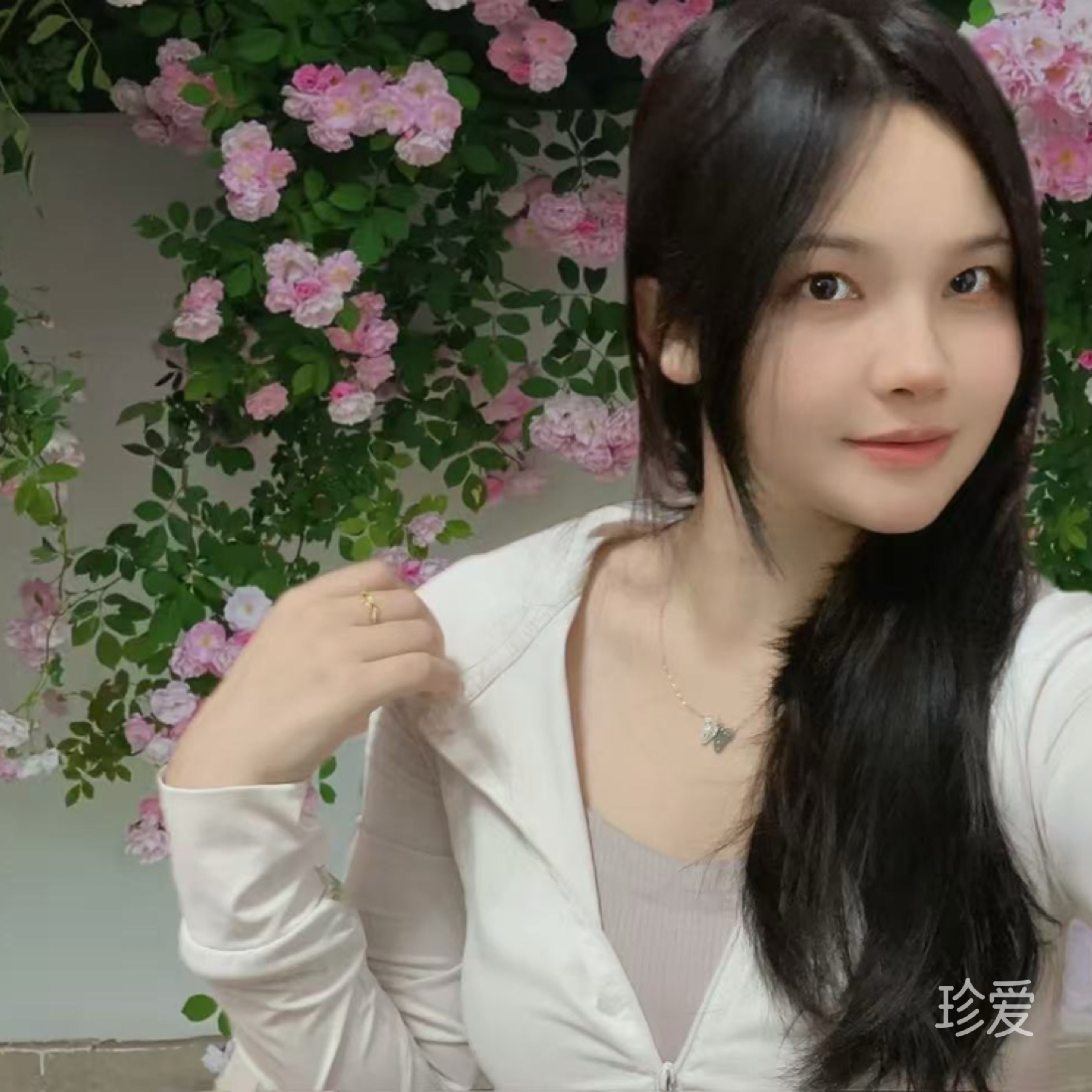 冬琳A