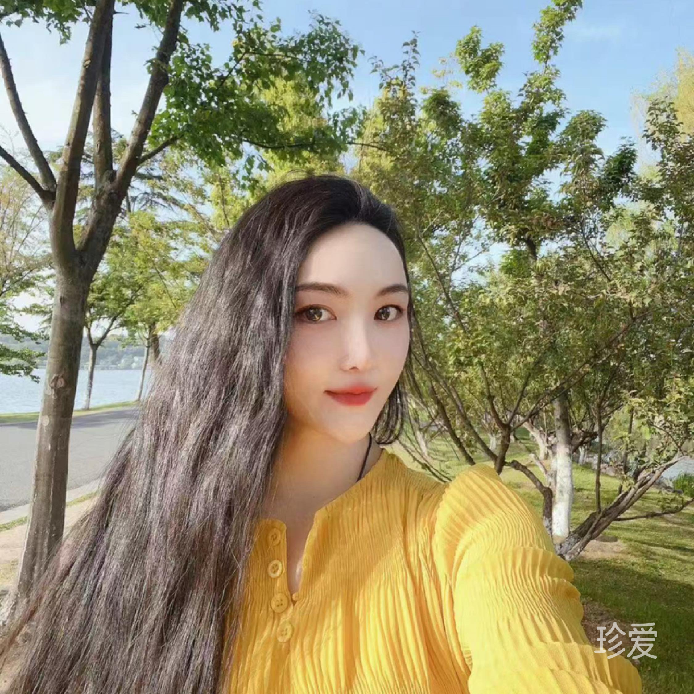 夏天的風(fēng)