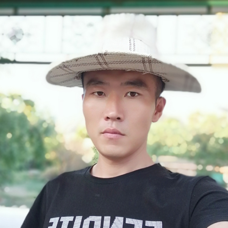 晨风境意