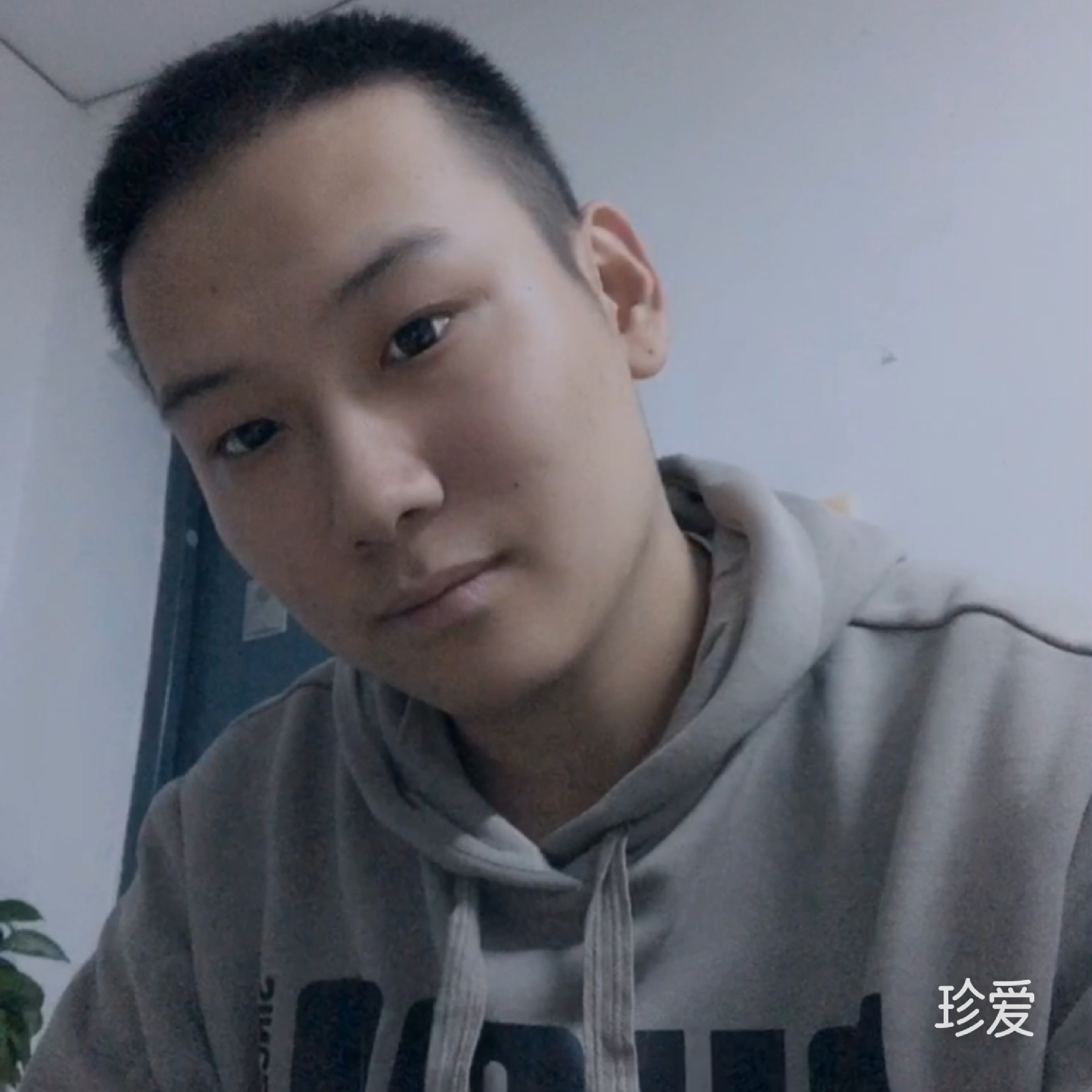 玫瑰送給有情人