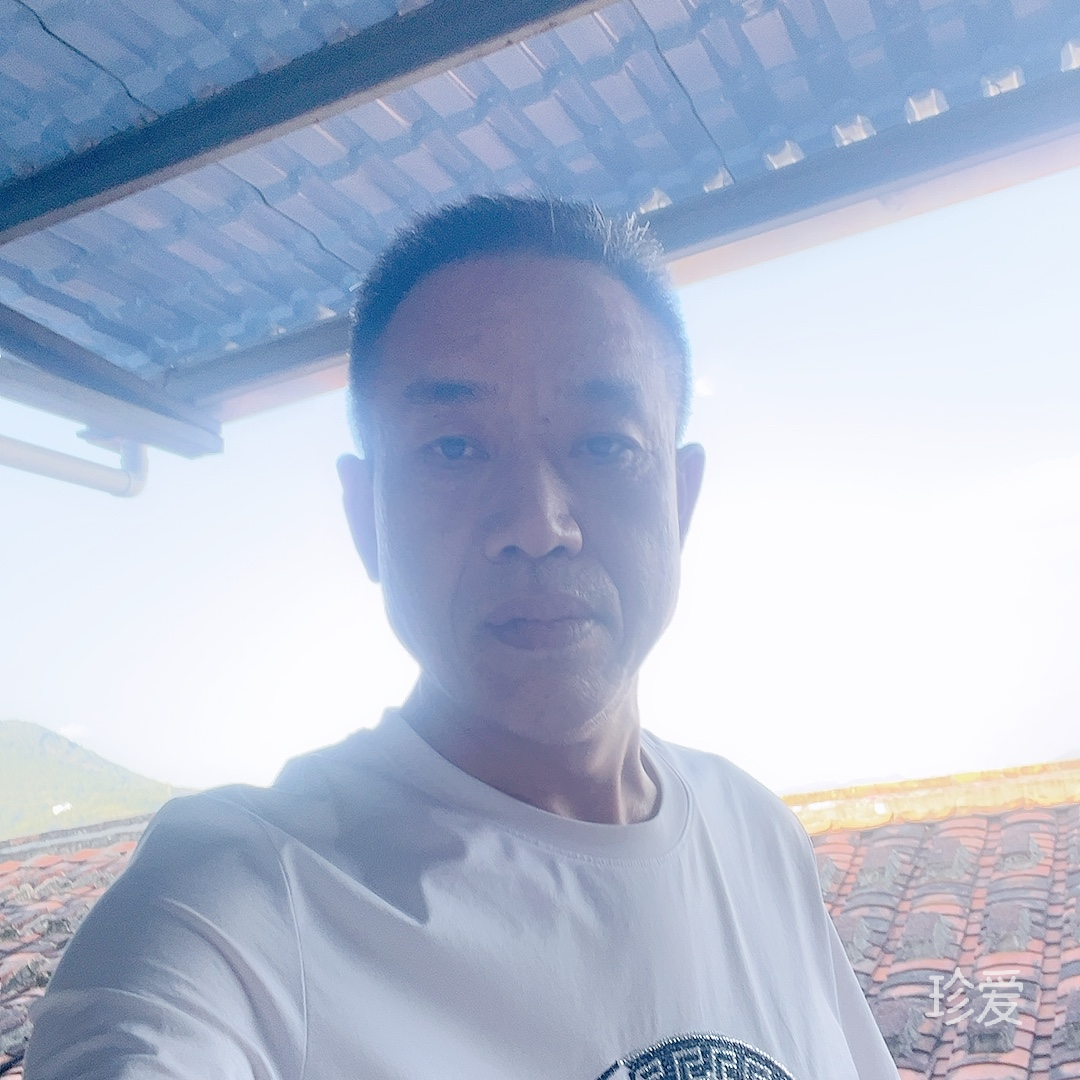 醉在清风