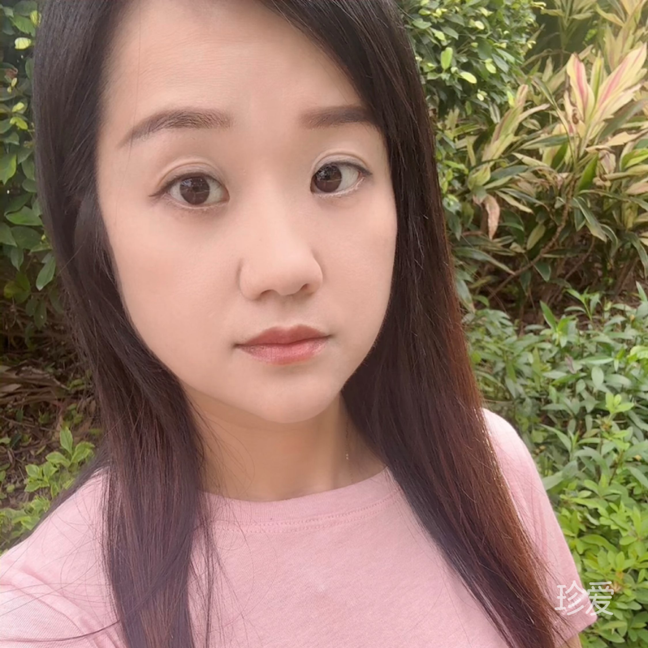红豆