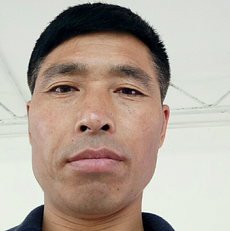 如歌岁月之诚信天下