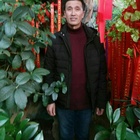月光的味道