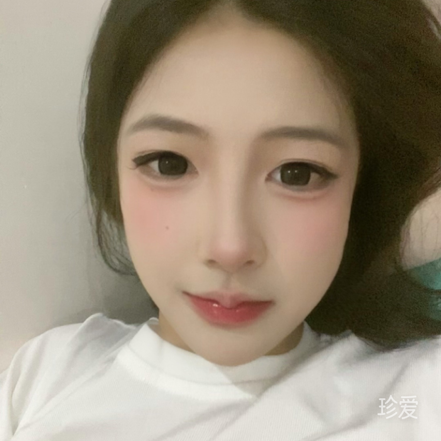 再见莫妮卡