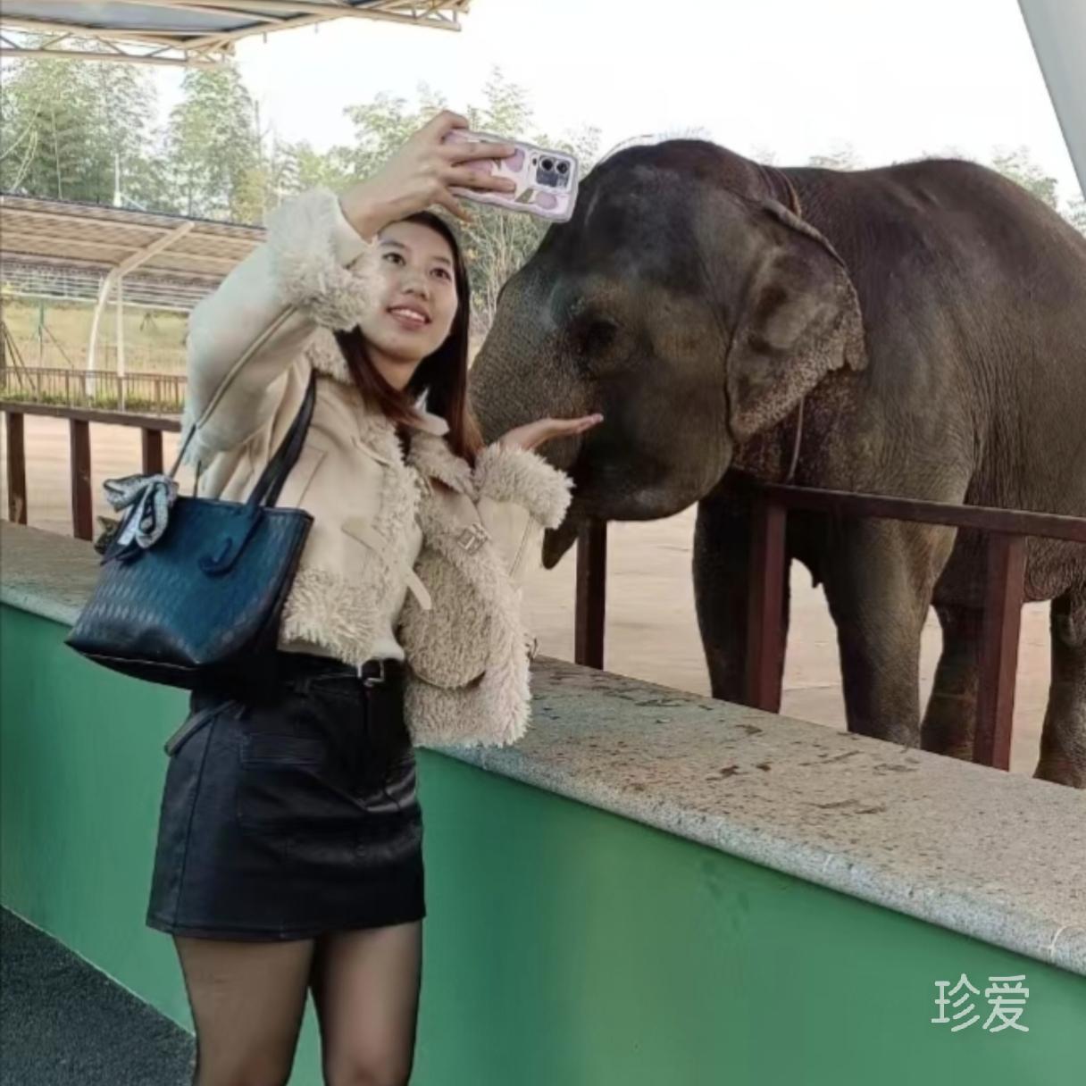 阳阳