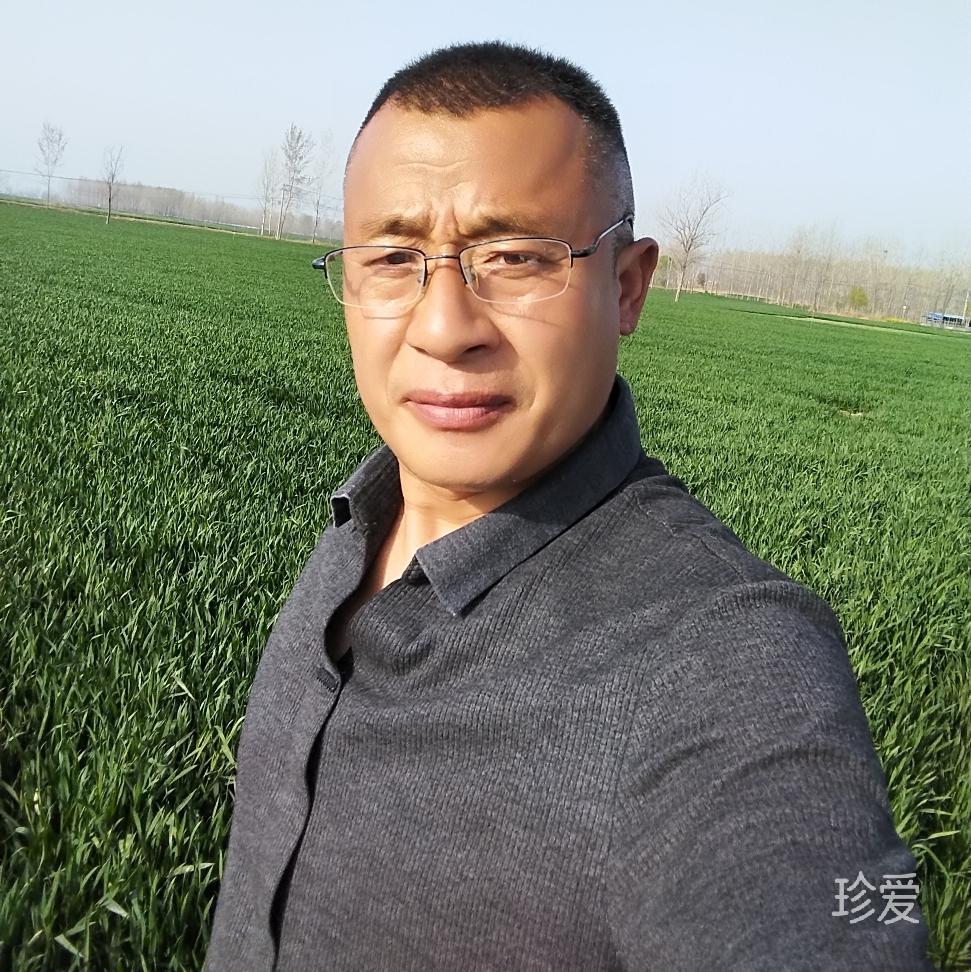 把最好的我给你