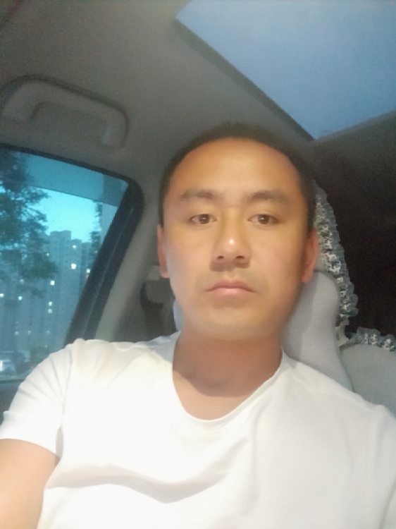 泵車戰(zhàn)區(qū)狼